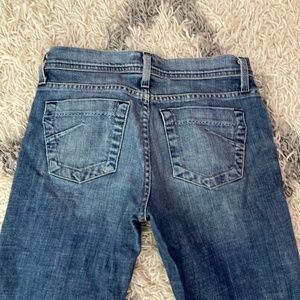 James Jeans Dry Goods Denim- Flared